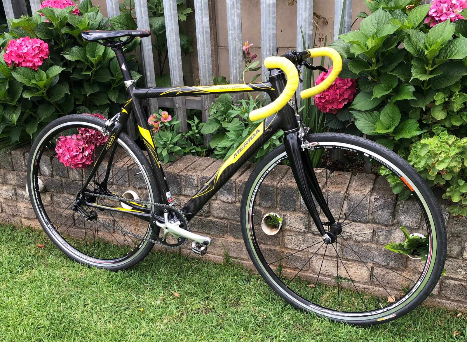 Merida Scultura 907 Carbon Single Speed Bike Hub