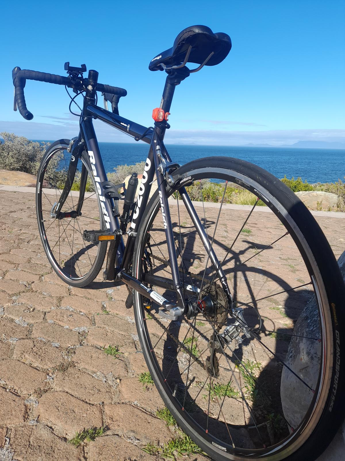 RC2000 Raliegh Bike Hub