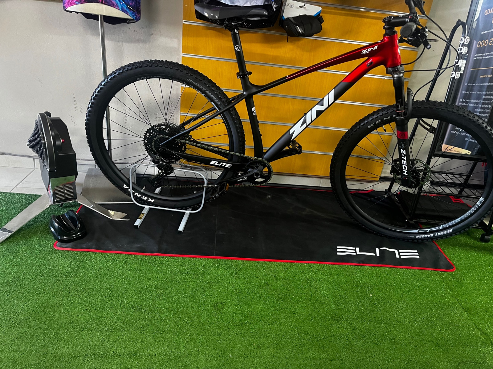 Zini Elite Z29 Bike Hub