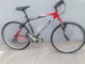 schwinn twinn bicycle Vintage Schwinn Twinn Tandem Bicycle