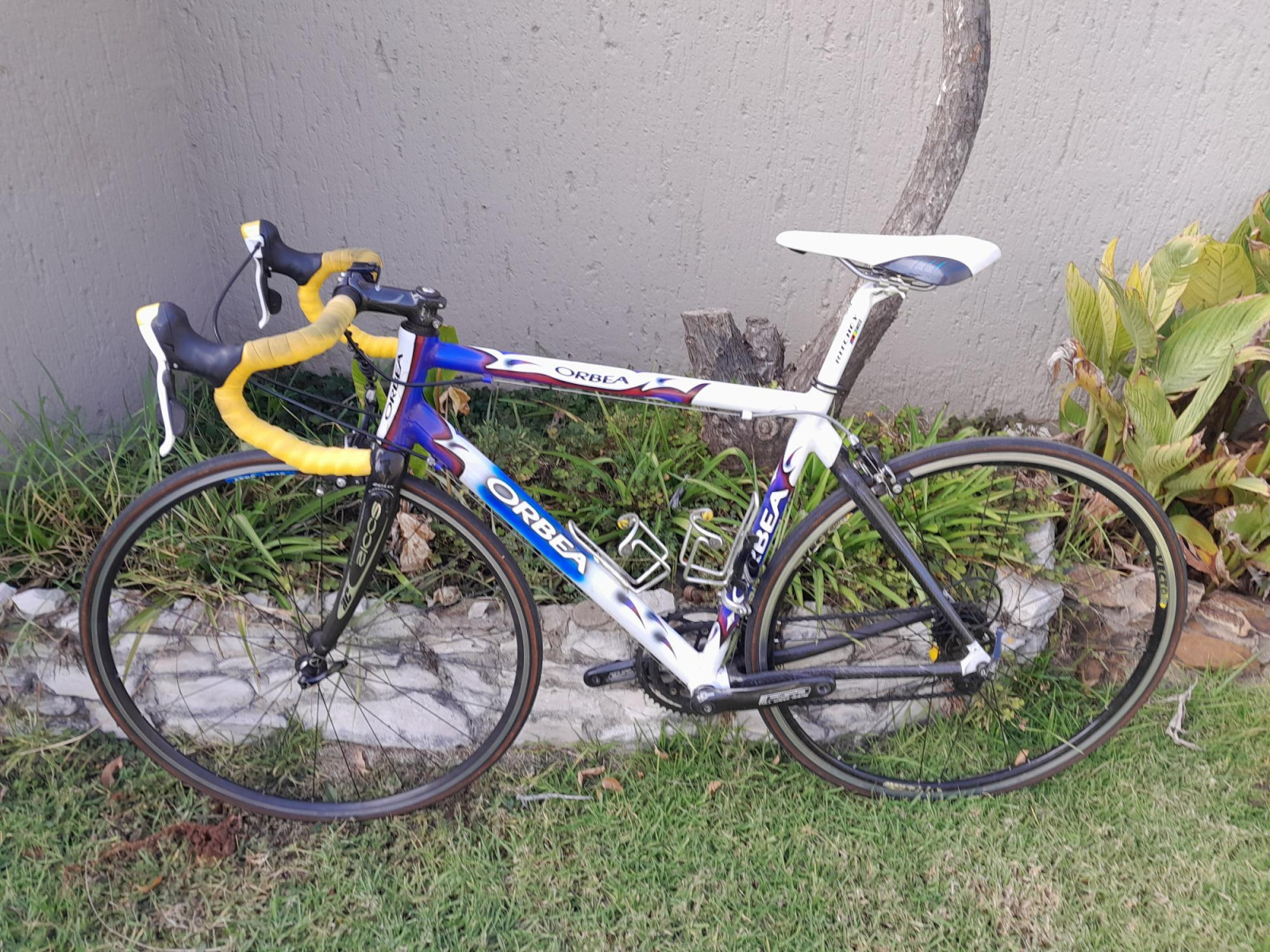 orbea carbon road bike