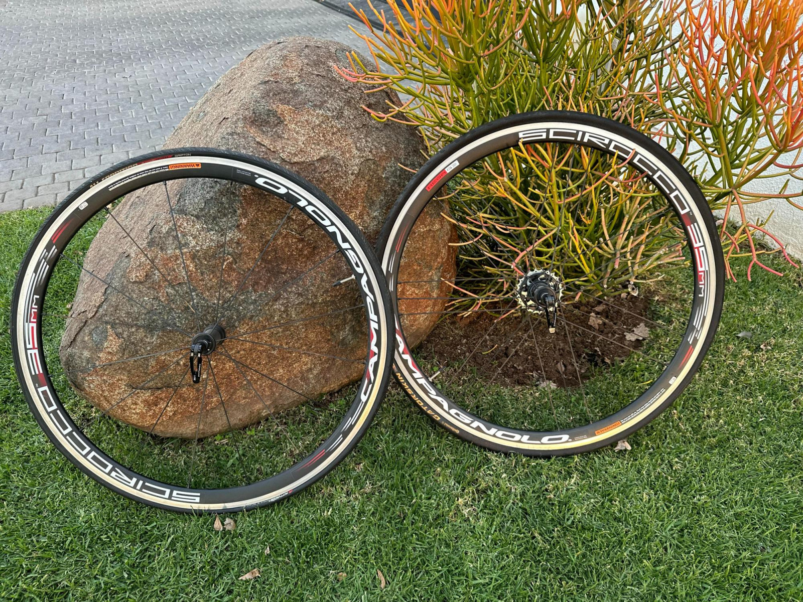 Campagnolo Scirocco 35mm Alu + Cassette and Tyres | Road Bike