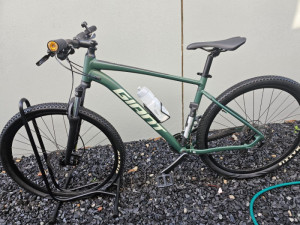 Giant 2021 Talon 29er Trekking Green (L) Hardtail Mountain