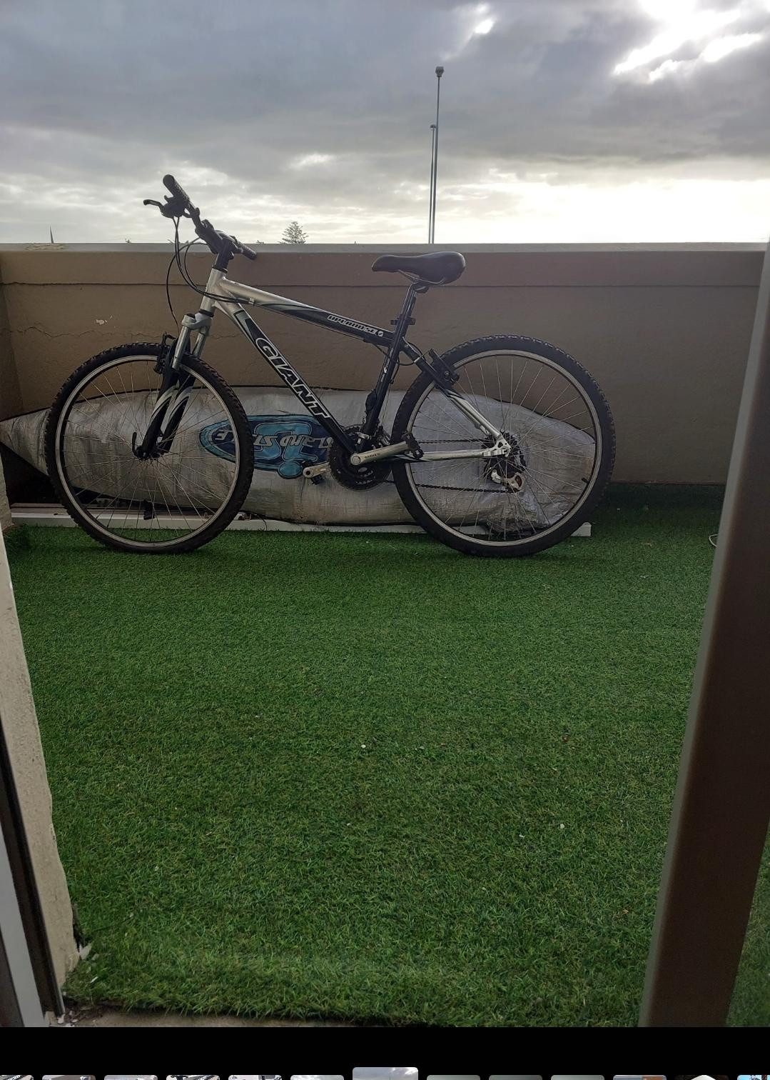 upland 29 inch mountain bike