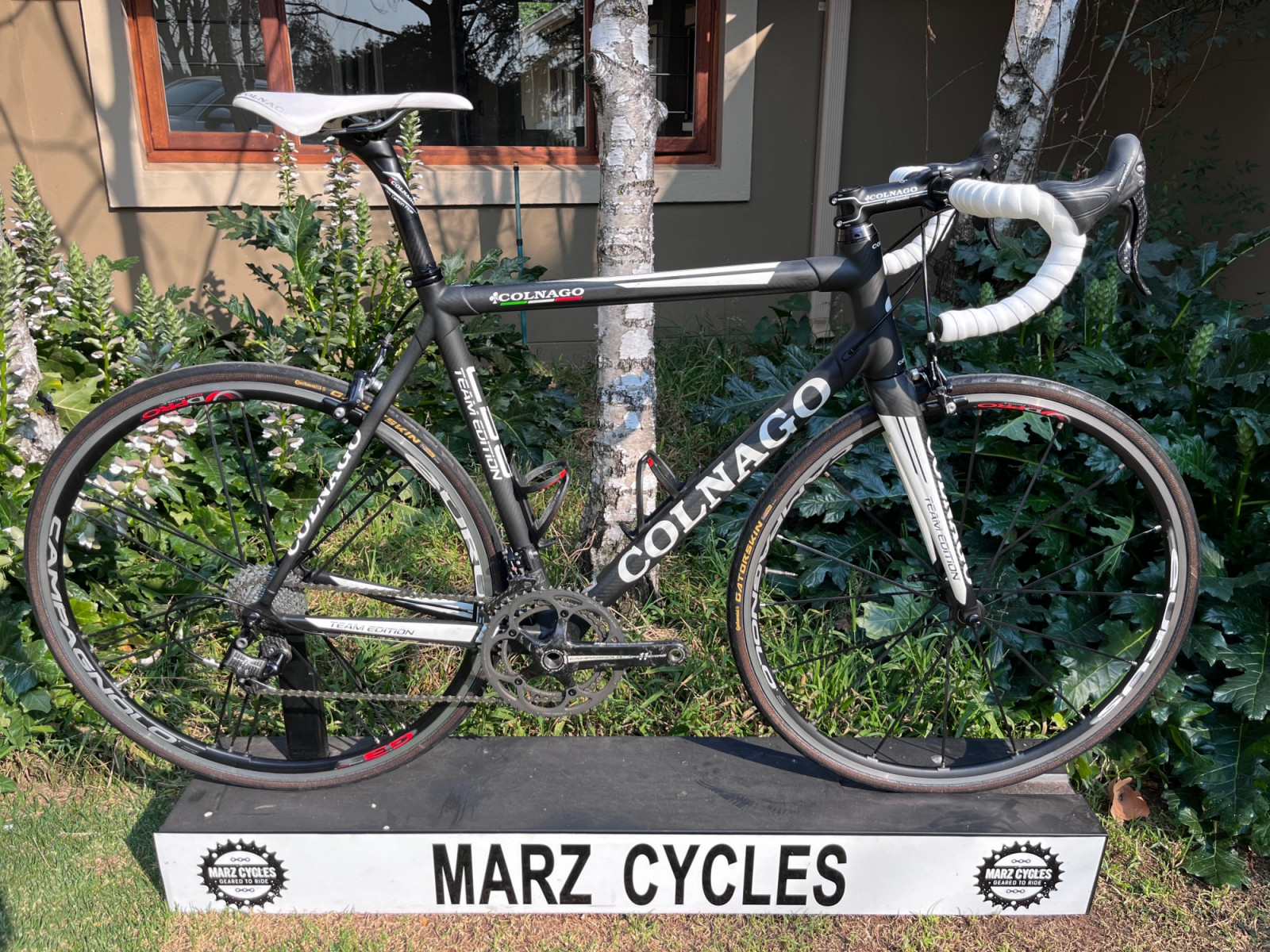 Used* Colnago C59 Team Super Record 11spd 56cm Road Bikes