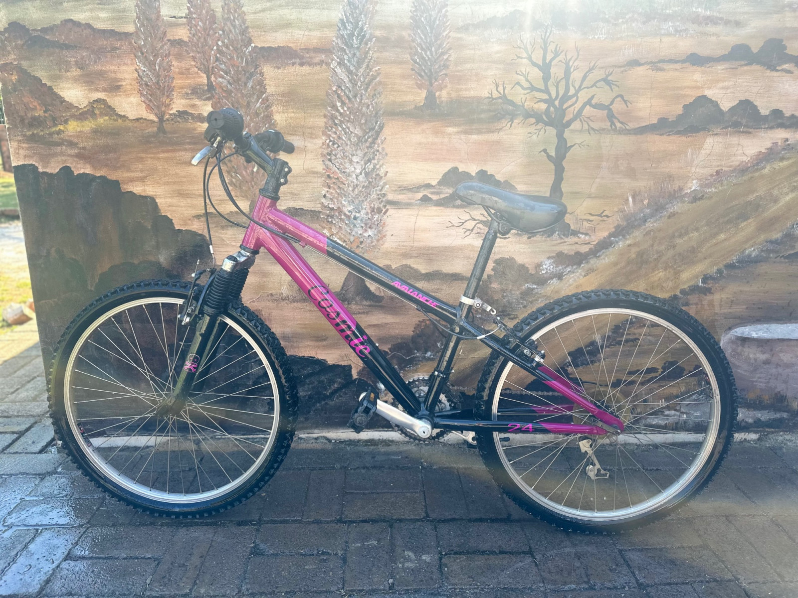 cosmic ladies cycles price