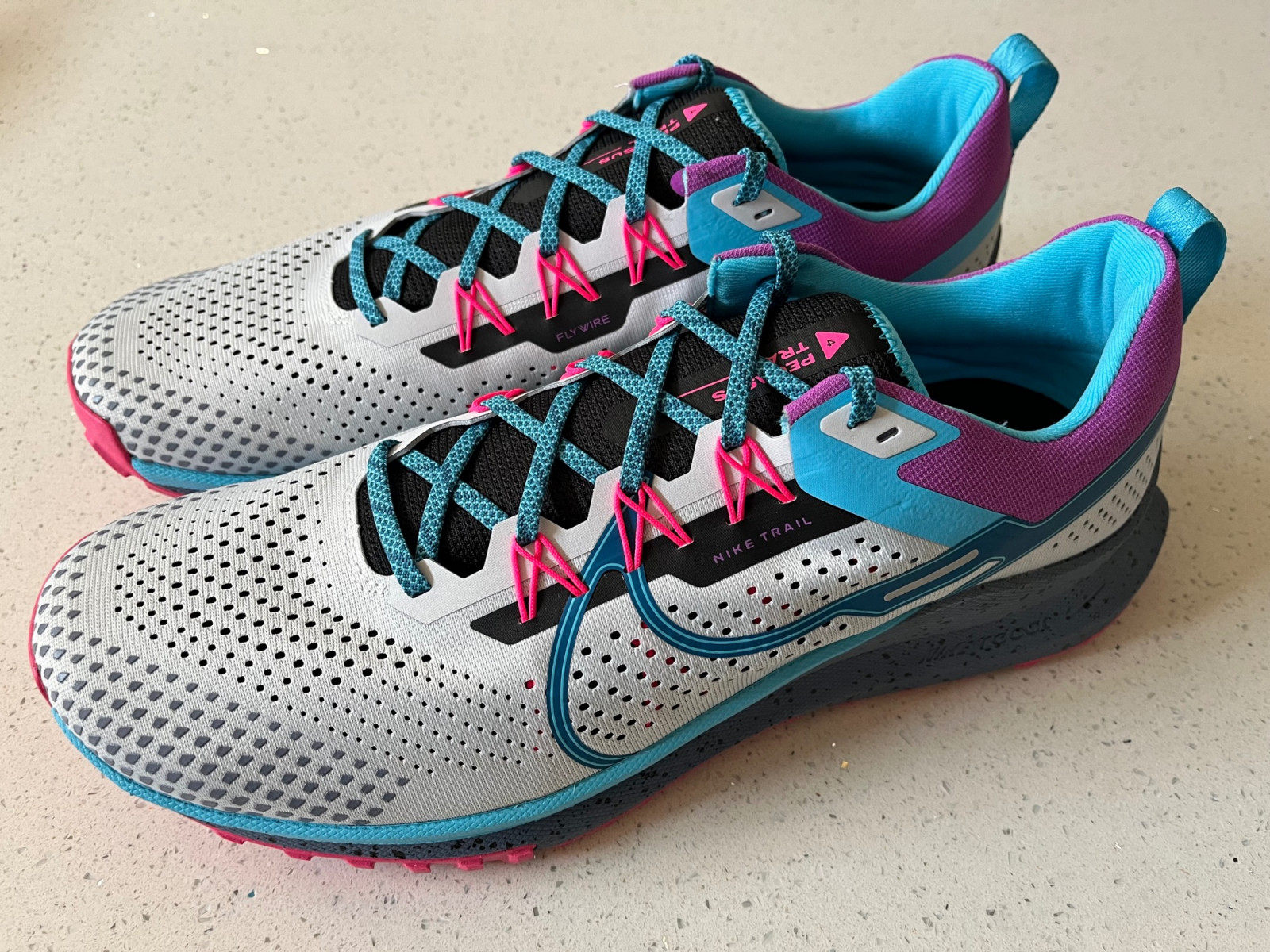 NIKE PEGASUS SHOES Shoes Bike Hub