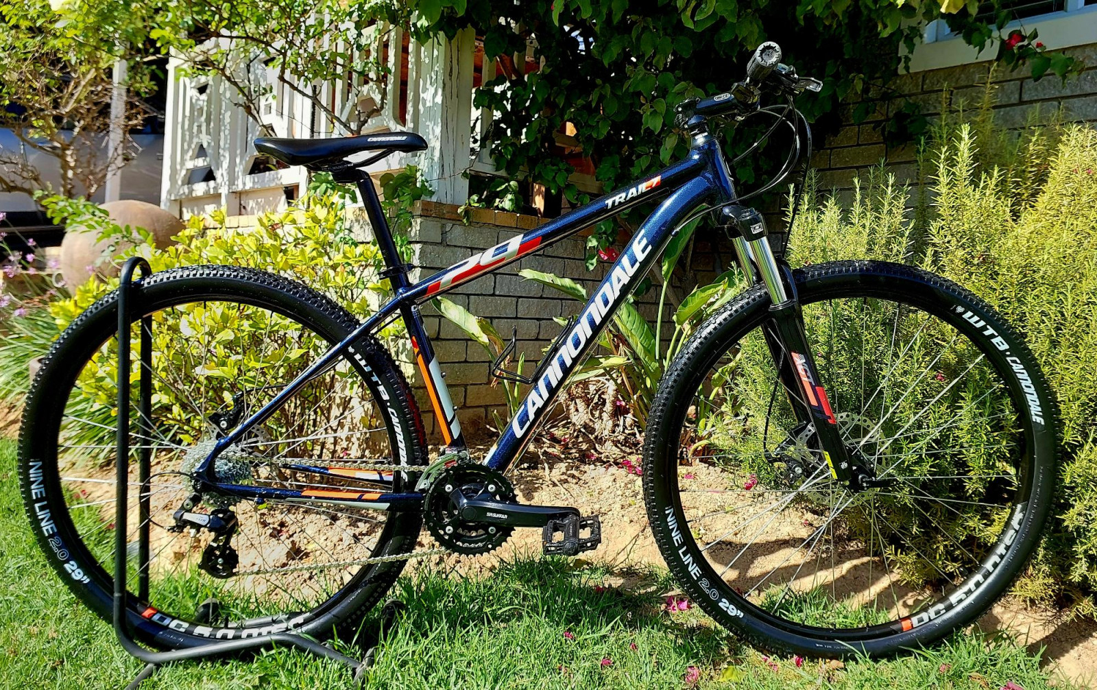 cannondale trail 7 29er