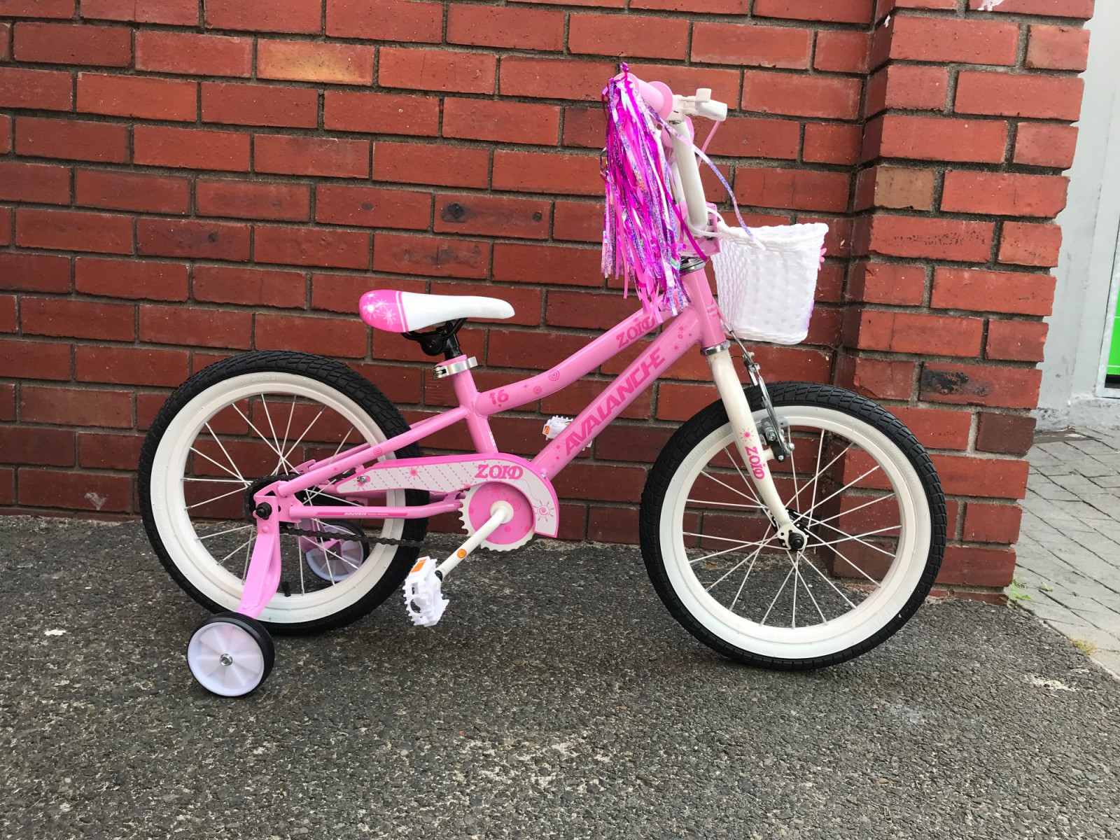 【希少】GADID ANONIEM ZHOK EBBE GADID ANONIEM ZHOK EBBE