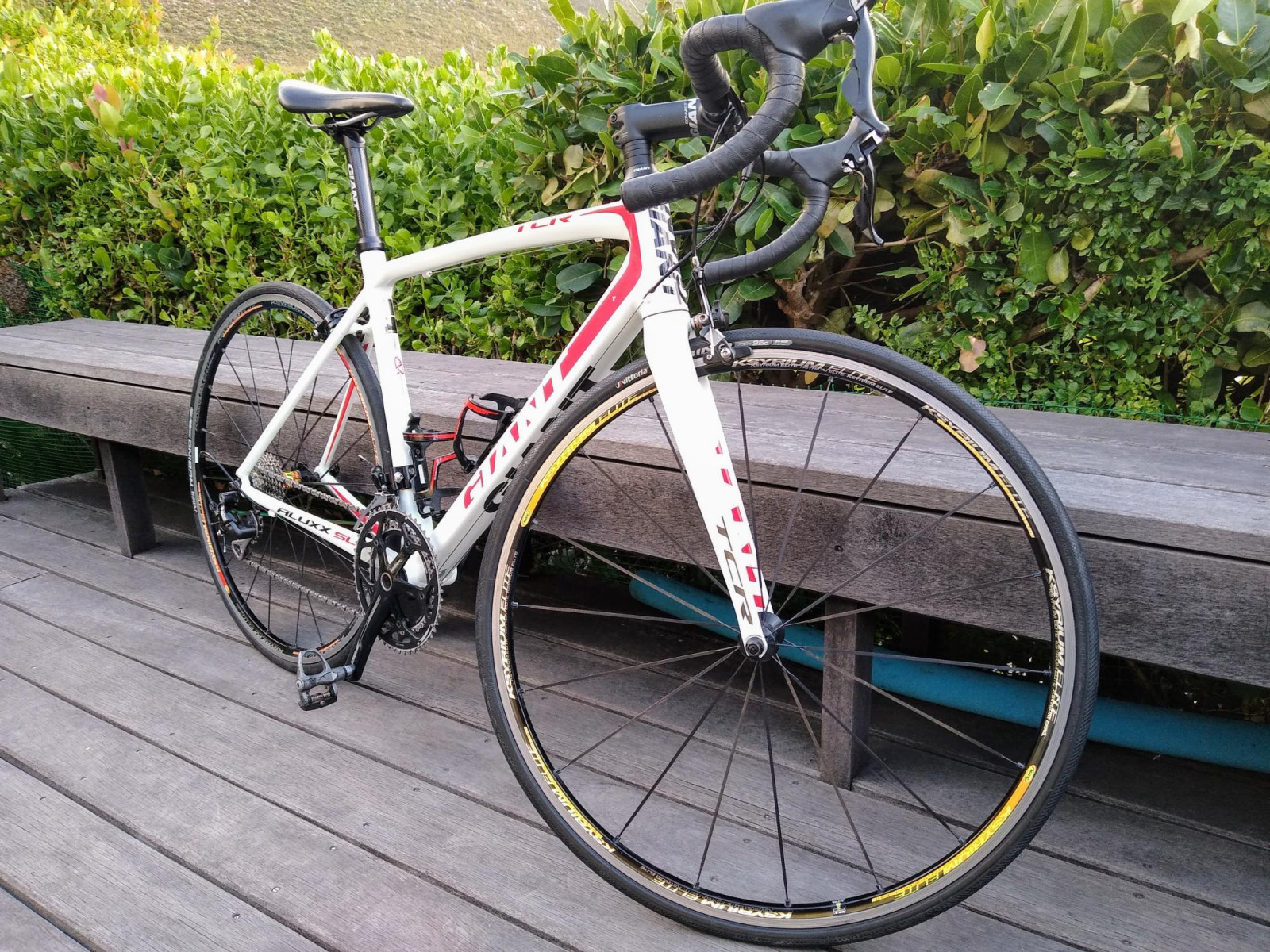 Giant TCR 1, medium, Shimano 105 | Road Bikes | Bike Hub
