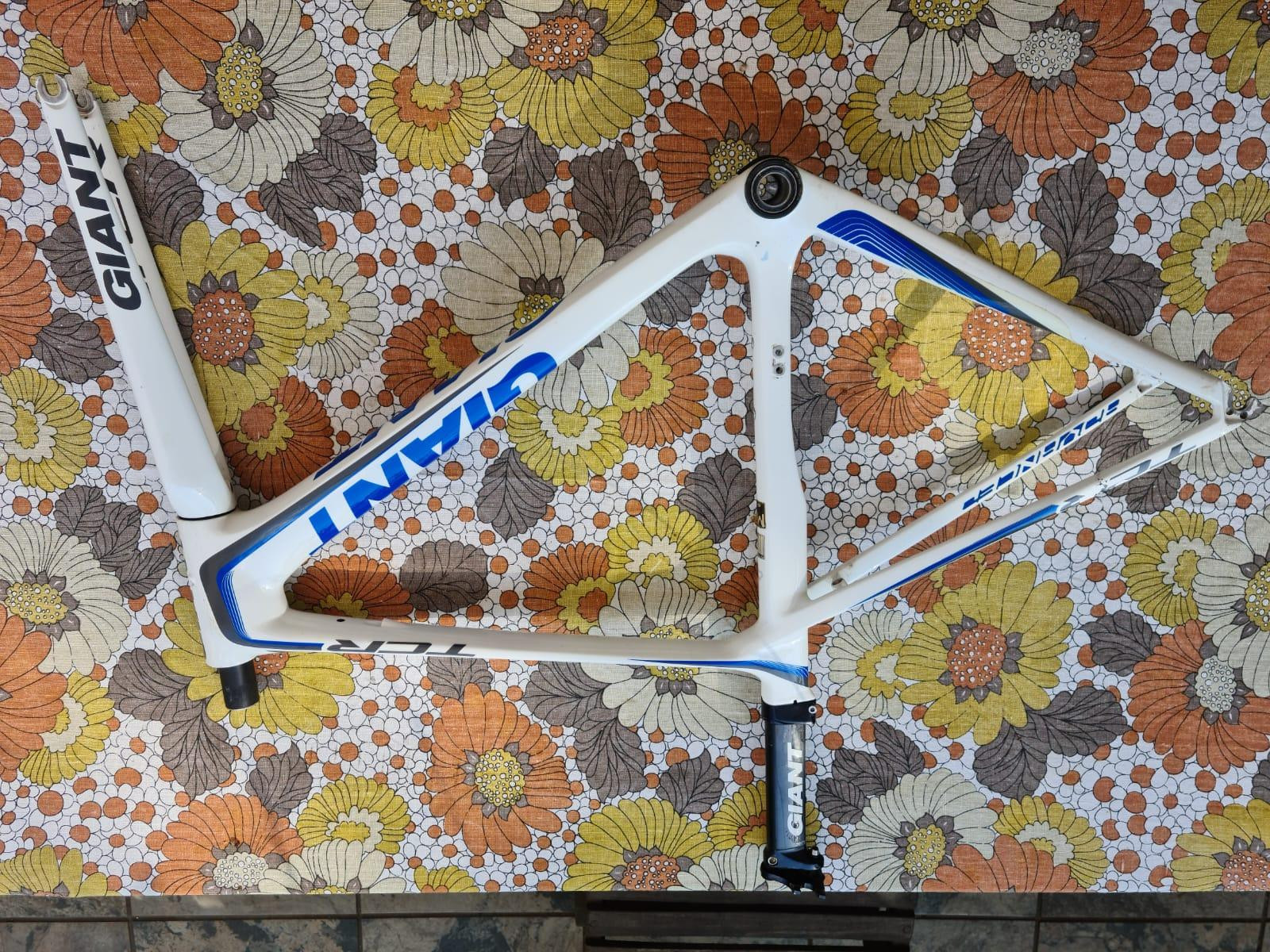 Giant Carbon road frame cracked Road Bike Frames Bike Hub