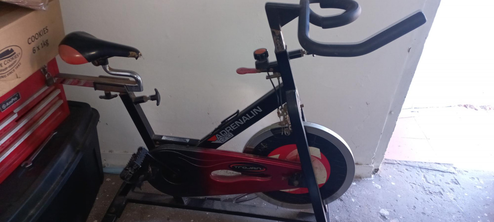 trojan indoor bike