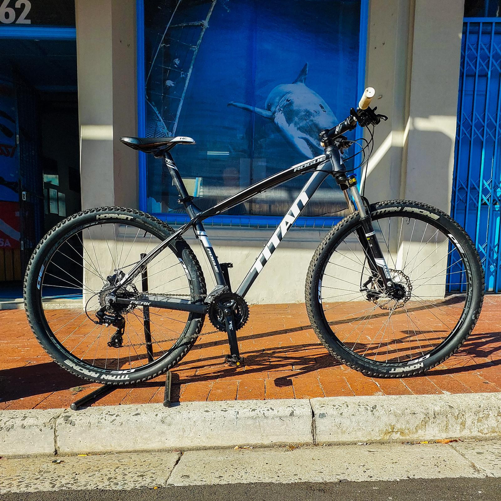 titan 29er