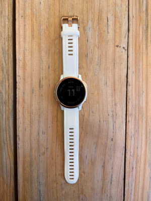Wrist Garmin Fenix 6s White Rose Gold Garmin Fenix 6s Pro Watches