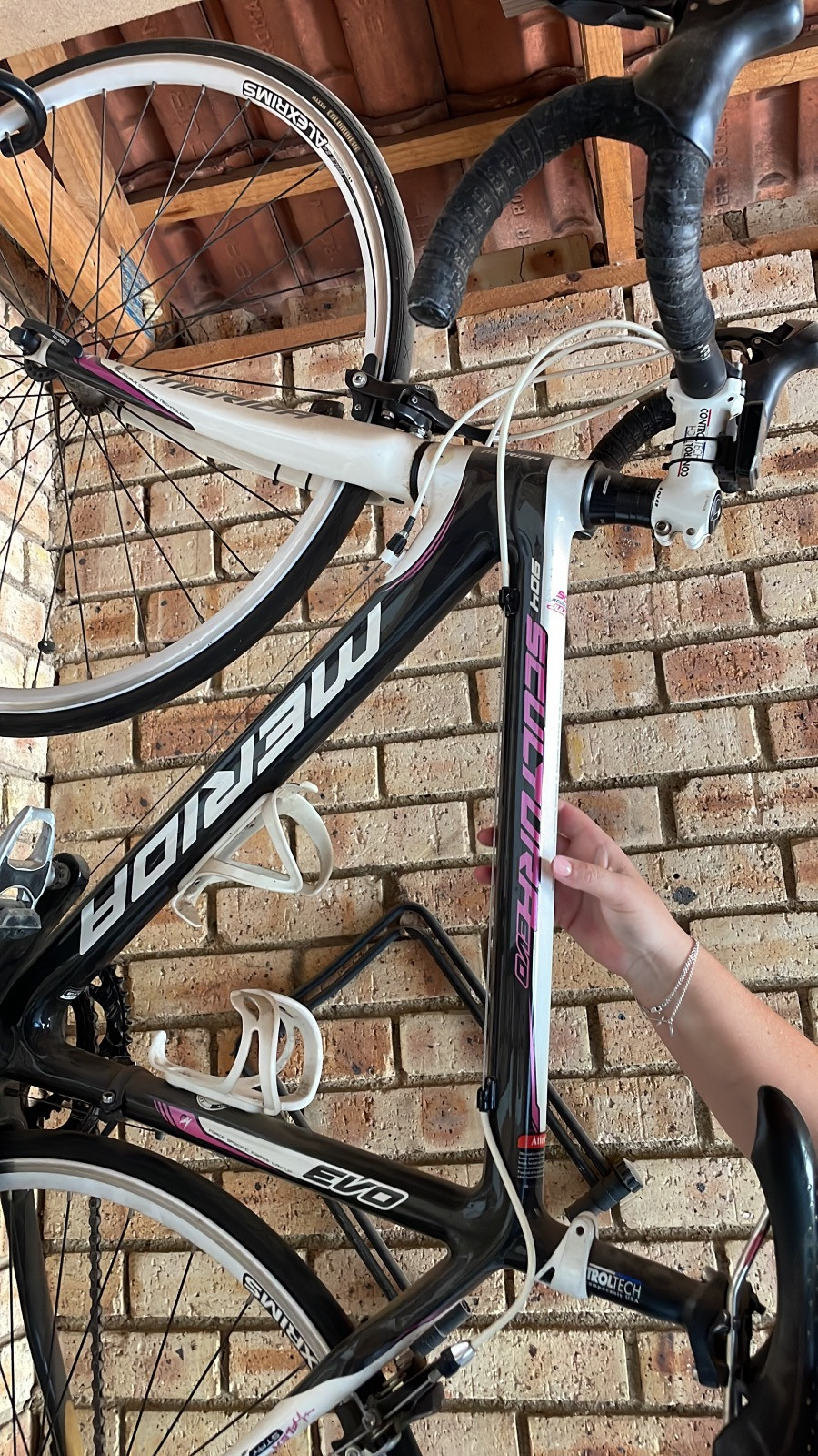 Merida Juliet Merida 904 Scultura Merida Scultura 904 Juliet