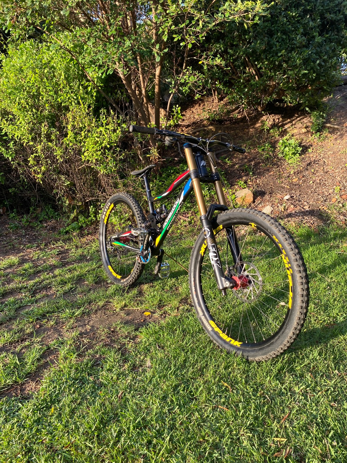 morewood downhill bike