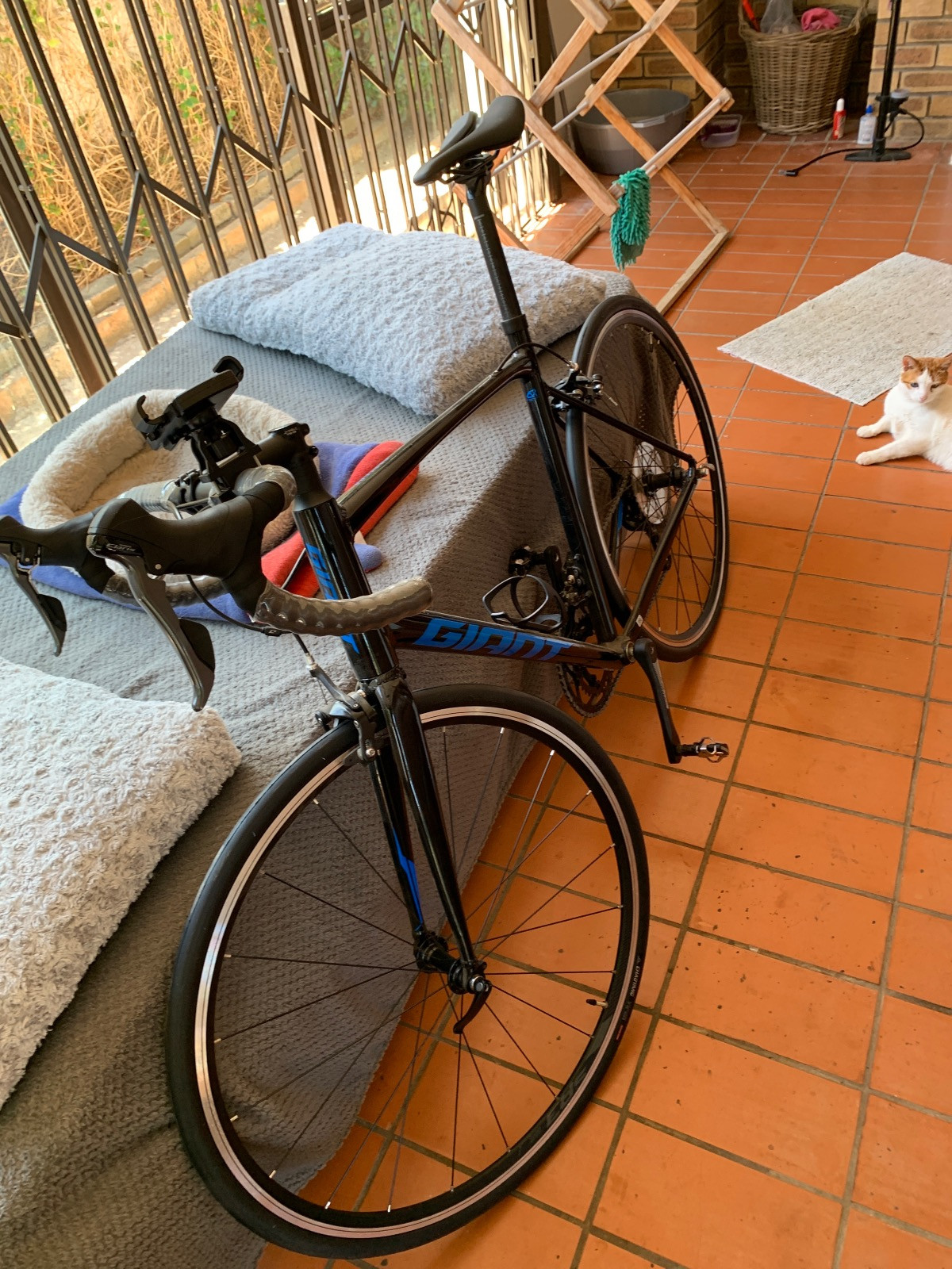 Brand New Giant Road Bike | Road Bikes | Bike Hub