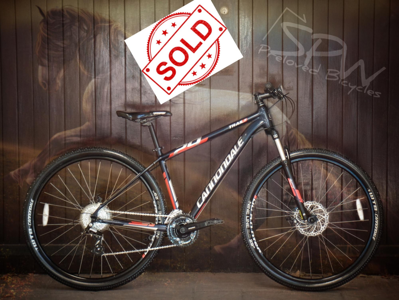 Cannondale Trail (29er) *Excellent condition* Hardtail