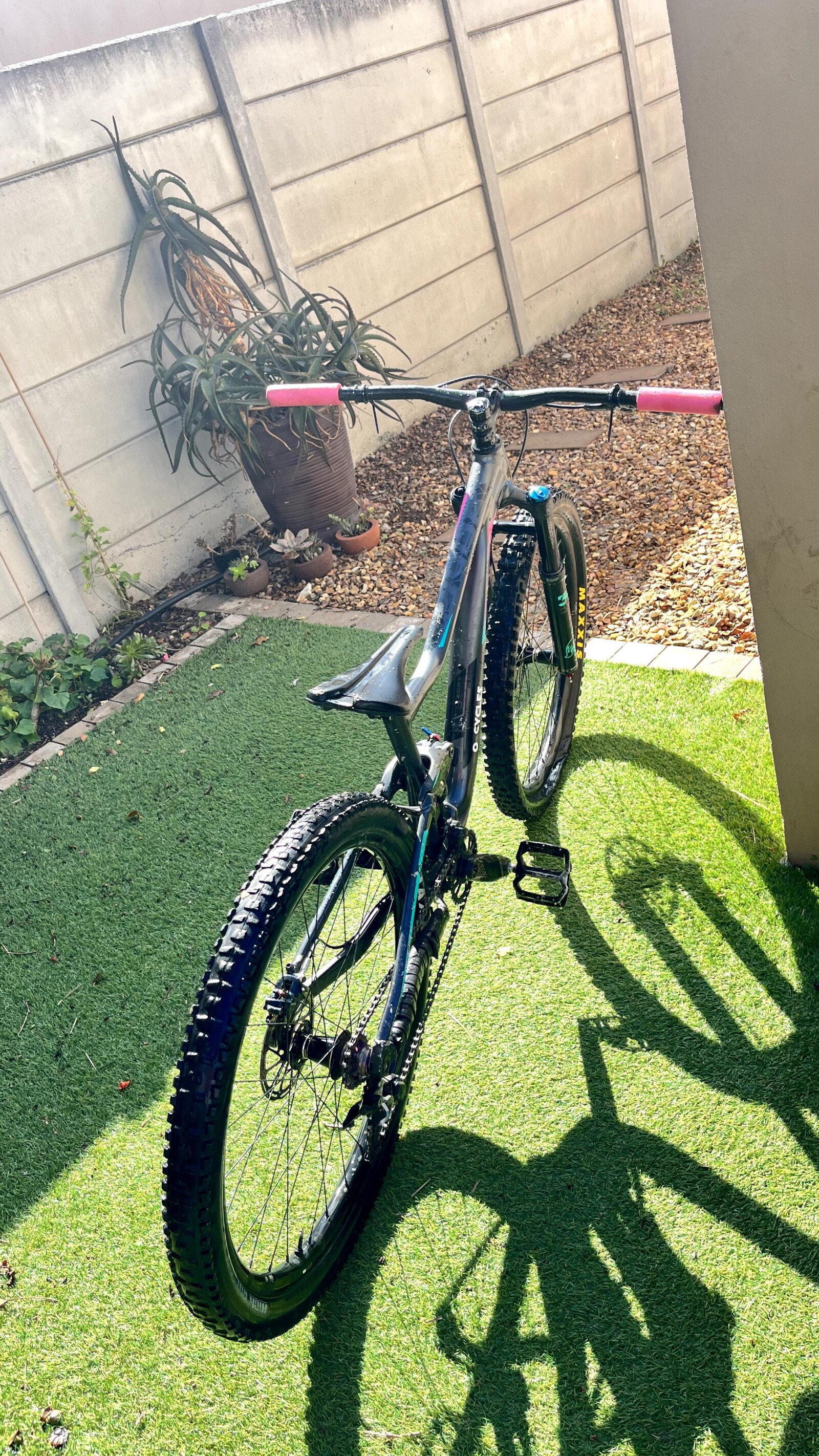 Giant Liv - Modified for Jumps (Single Speed) | Dual Suspension ...