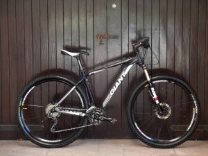 Giant XTC 1: 29er Aluxx SL Fluidform | Hardtail Mountain Bikes