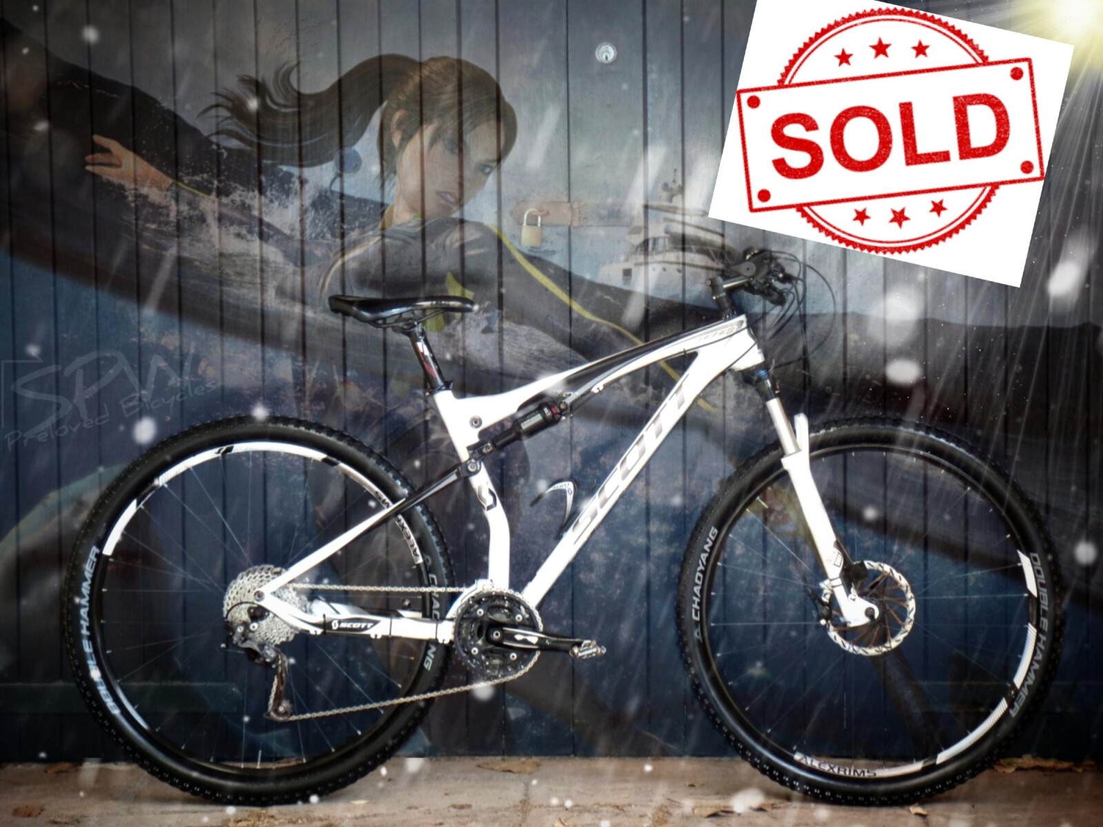 scott spark team 29er