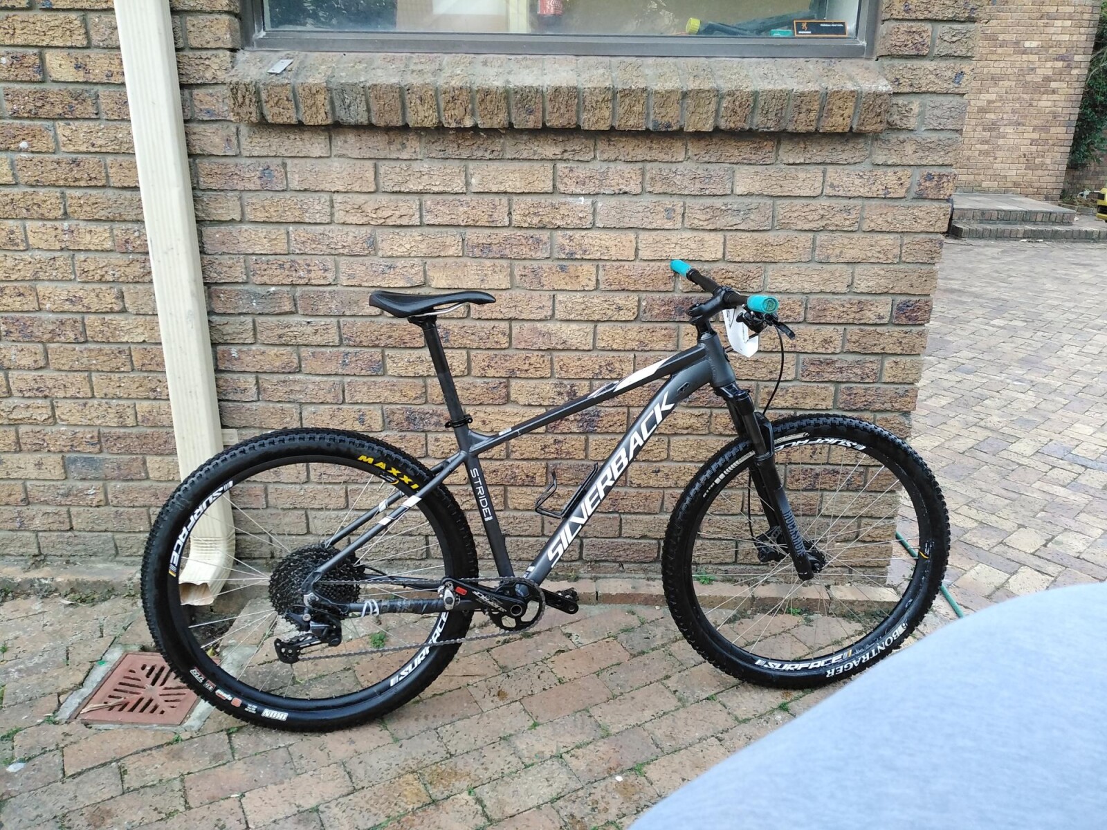 Silverback stride expert 29 | Hardtail Mountain Bikes | Bike Hub
