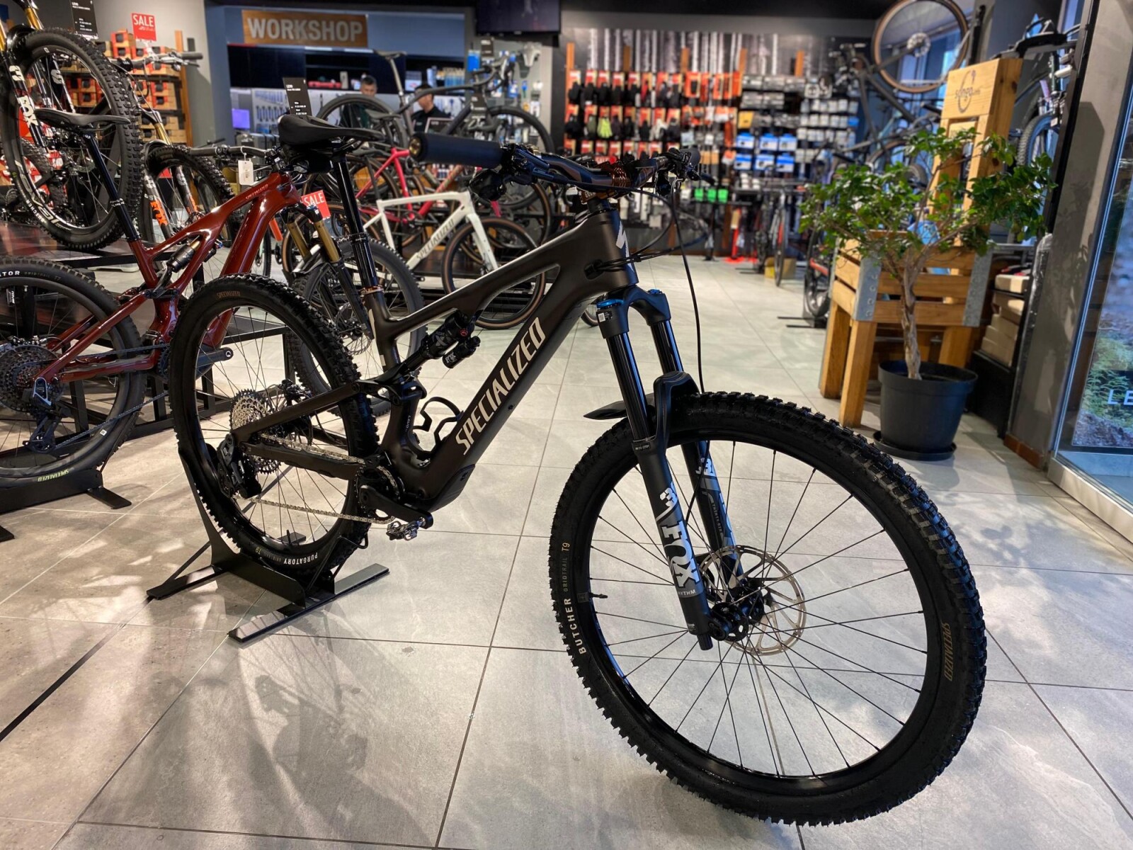 Borneobulletin Com Specialized Mtb Online Shop Borneobulletin Com