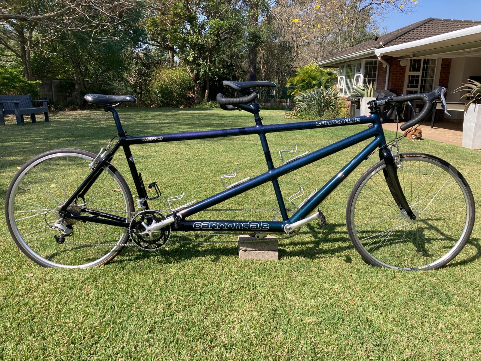 Cannondale RT-3000 Tandem J/M Tandem Road Bikes Bike Hub - Main Image