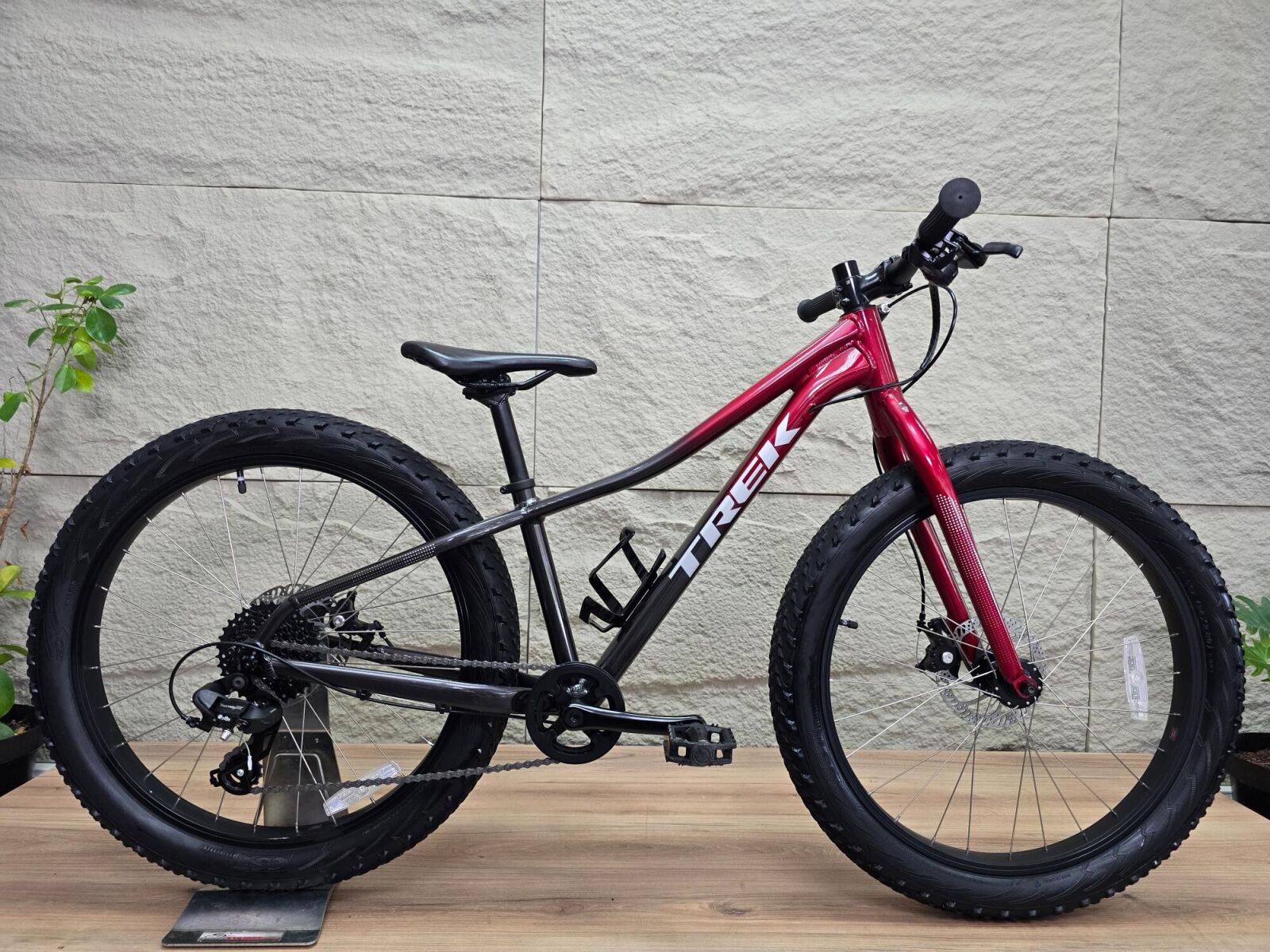 TREK ROSCOE 24 **2023-Disc** Kids Bikes Bike Hub