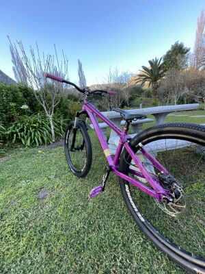 Bicycle Frame Polygon Trid Sam Reynolds Polygon Dirt Jump Bike New