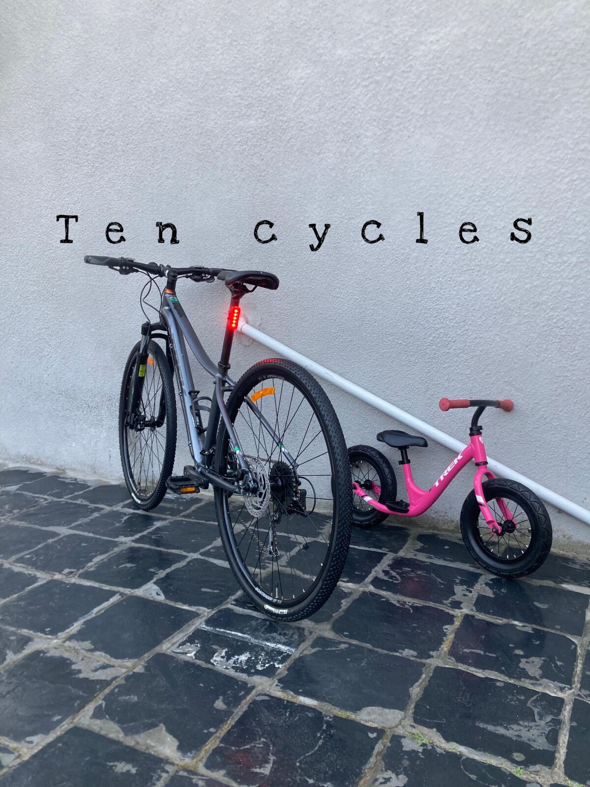 Sports Equipment Trek Neko Women's Dual Sport Bike Trek