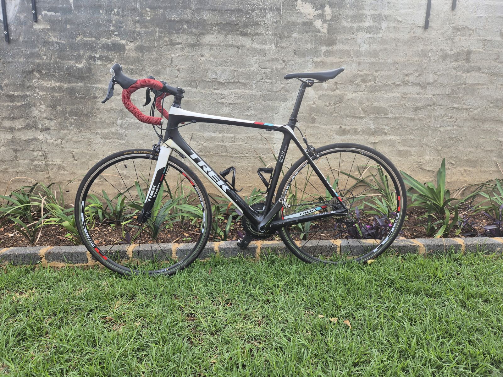 Trek Madone Carbon (Large) Road Bikes Bike Hub