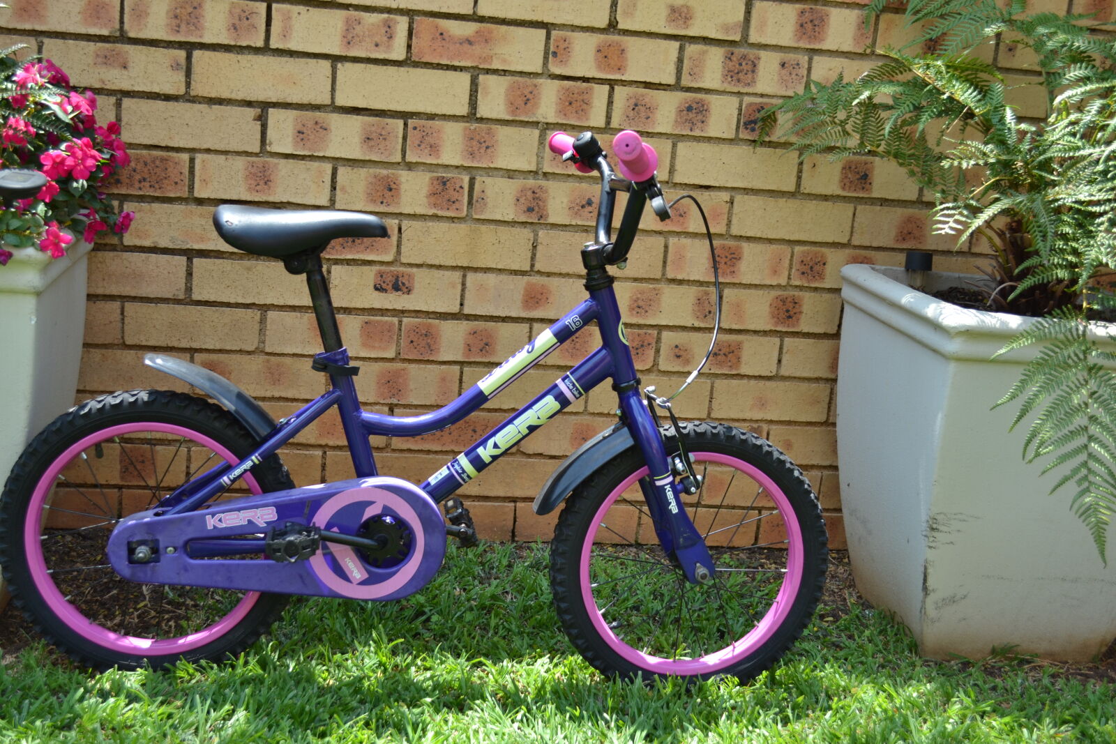 90's Raleigh Childrens Bike Crested Butte Vintage Raleigh