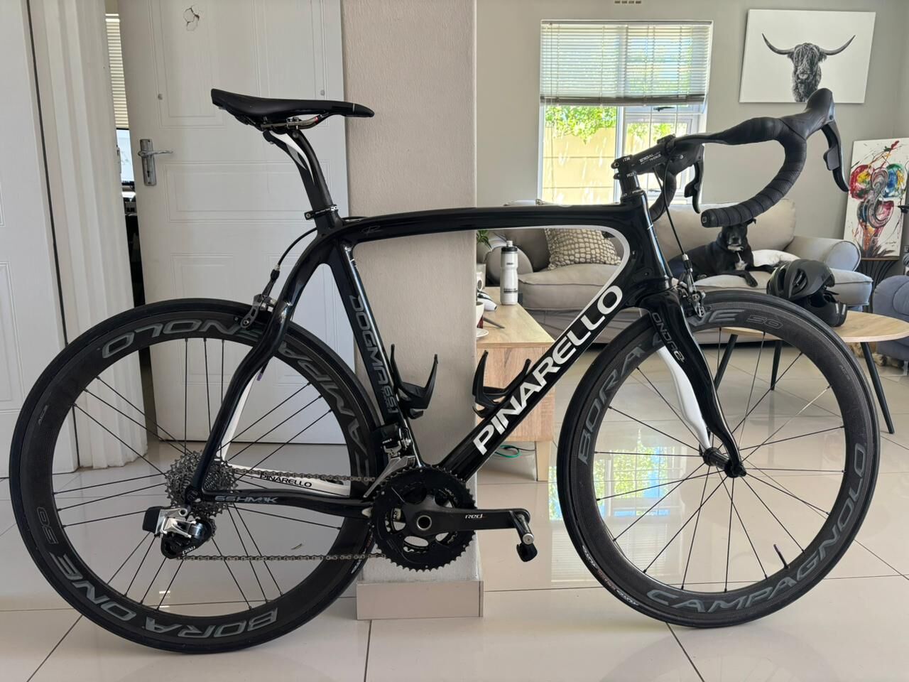 Pinarello Dogma 65.1 Think2 Size 58 | Road Bikes | Bike Hub