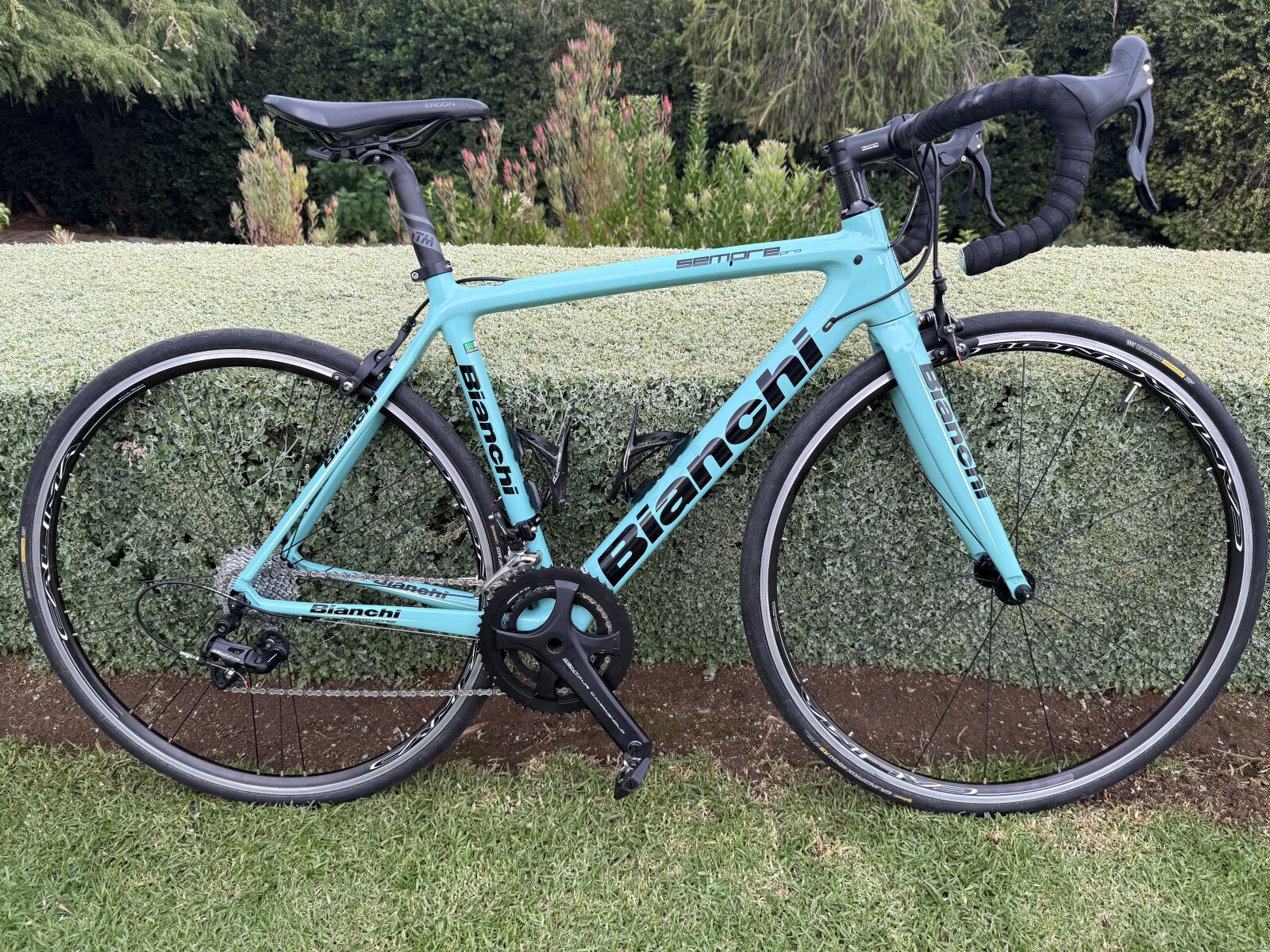Bianchi Sempre Pro Carbon | Road Bikes | Bike Hub