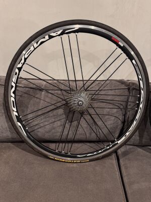 Campagnolo Eurus Wheelset | Road Bike Wheels | Bike Hub