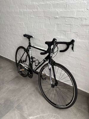 引き取り限定　700×25c SECTEUR SPORT SORA 56 引き取り限定 700×25c SECTEUR SPORT SORA 56 【公式通販】