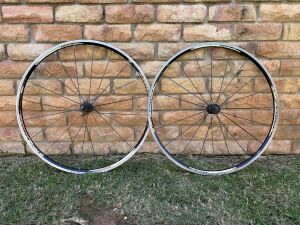 Araya Alloy Disc Wheel 700c | Road Bike Wheels | Bike Hub