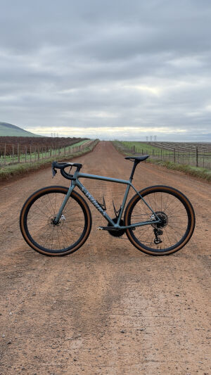 S-Works Crux UDH 2025 (M) | Gravel Bikes | Bike Hub
