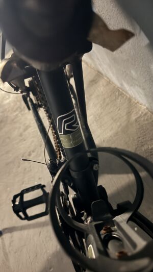 Raleigh 29