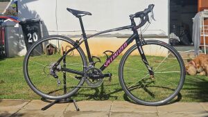 Speciazlied Dolce | Road Bikes | Bike Hub