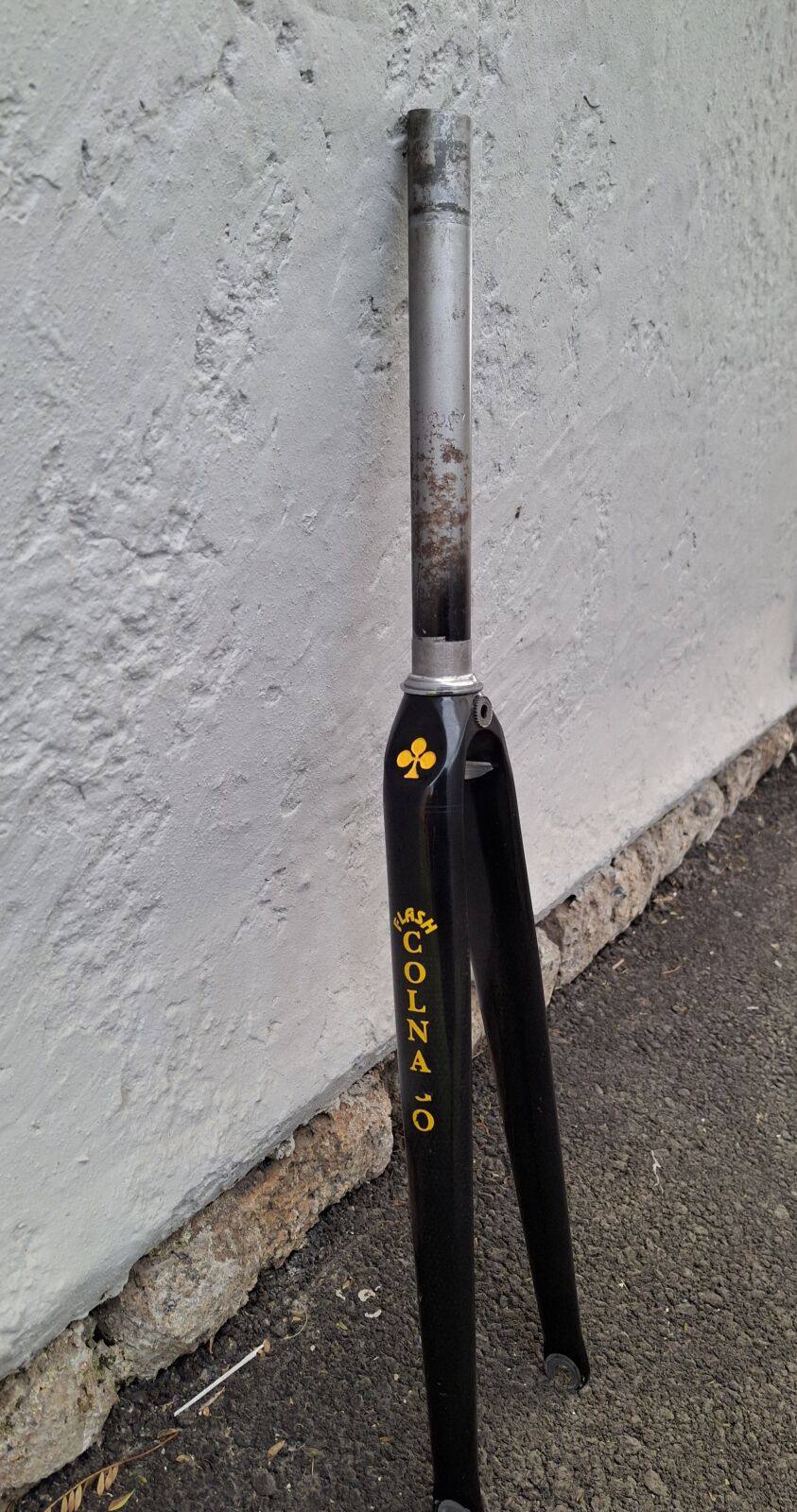 Colnago Flash 1-Inch Carbon Road Fork | Road Bike Forks | Bike Hub