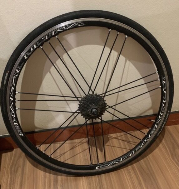 Campagnolo Shamal Ultra ホイール前後 Campagnolo Shamal Ultra | Road Bike Rims | Bike Hub