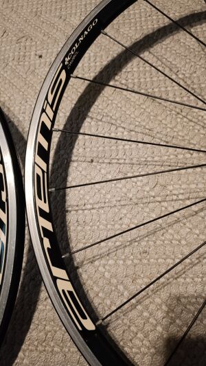Vintage COLNAGO ARTEMIS CW28CL | Road Bike Wheels | Bike Hub