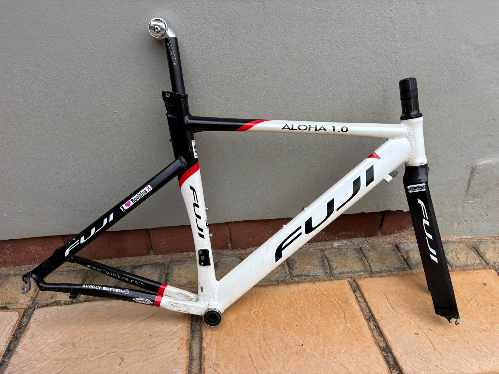 Fuji Aloha 1 | Road Bike Frames | Bike Hub