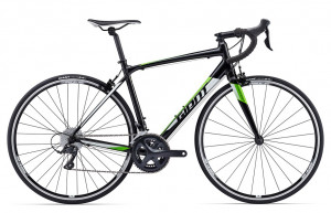 Giant Contend 2017 
