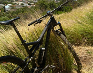 Specialized Stumpjumper FSR Comp Carbon 29 2014 