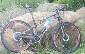 Specialized S-Worx Epic WC 2012 