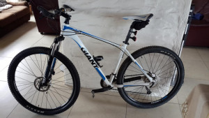Giant Talon 29er 2013 