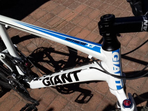 Giant Anthem X3 2010 